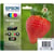 Multipack T2986 - Fraise - Noir, Cyan, Magenta, Jaune (C13T29864012)