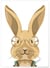 Affiche Lapin | A3 : 29,7x42cm