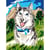 LUC - Kit canevas Husky 25x30cm