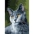 LUC - Canevas antique Chartreux 32x50cm