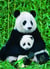 PUZZLE 1000P PANDA ET SON BEB EUROGRAPHICS