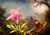 Puzzle 1000 pièces - Martin Johnson Heade - Cattleya Orchid and Three Hummingbirds, 1871 - Bluebird Puzzle