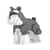 Mini Schnauzer Taille standard | JEKCA | 14 ans et +