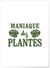 Poster Maniaque des plantes | A3 : 29,7x42cm