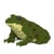 Grenouille verte foncée Taille standard | JEKCA | 14 ans et +