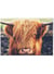 Poster Highland Cow | A3 : 29,7x42cm