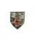 Ecussons Thermocollant Militaire 5 X 6 cm - Mediac Limit Edition vert
