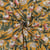 Tissu Coton indien Block print Fleurs Mia sur fond Ocre