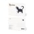 CARTE POSTALE CHAT DEBOUT