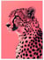 Affiche Guépard Pop Art | A3 : 29,7x42cm