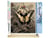 Peinture par Numéro Figured'Art - Machaon et Fleurs blanches - Kit de Loisir Créatif DIY Numéro d'Art Complet - 40x50cm toile roulée + châssis en bois à monter
