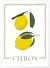 Affiche Abstract Citron | A3 : 29,7x42cm