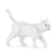 Mini Chat blanc Taille standard | JEKCA | 14 ans et +