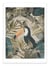 Affiche 30 x 40 cm - Jungle Toucan - Andrea Haase