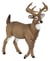 Figurine Cerf de Virginie - Papo