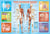 Puzzle 200 pièces - Le Corps Humain - Eurographics