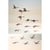 Tableau sur toile oiseaux sauvages 65x97 cm