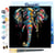 Mini Peinture par Numéro Figured'Art 20x20cm avec cadre Elephant - Petit Format