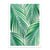 Affiche 50x70 cm - Palm leaves - Gal Design