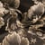 Tissu Jacquard Allover Iris fleurs Dorées sur fond Noir profond