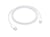 Apple Câble Lightning vers USB-C Charge et Synchronisation 1m Blanc
