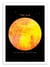 Affiche 30 x 40 cm - The Sun - Terry Fan