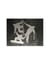 3 Dies sports d'hiver