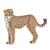 Guépard 01 Taille standard | JEKCA | 14 ans et +