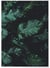 Poster Nature feuille de palmier de banane | A3 : 29,7x42cm