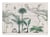 Affiche 30 x 40 cm - South sea palm cove - Andrea Haase