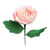 Matrices de découpe - Rose 3D - 7 dies Thinlits - Sizzix