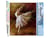 Peinture par Numéro Figured'Art - Ballerine en pointes - Kit de Loisir Créatif DIY Numéro d'Art Complet - 40x50cm sans châssis en bois