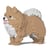 Chien Spitz Nain beige et blanc Taille standard | JEKCA | 14 ans et +