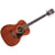 Excel Tammany Natural Mahogany D'Angelico