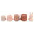 Gobelets empilables 5 pcs – Mrs. Rabbit - TRIXIE BABY - Marron