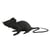 Rat - noir