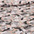 Tissu Coton imprimé Chats et fleurs sur fond Beige