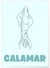 Affiche Calamar | A3 : 29,7x42cm