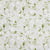 Tissu Toile Cretonne floral Oliya sur fond Beige clair - Au mètre