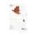 CARTE POSTALE CASTOR