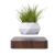 Jardin en lévitation HEXAFLY bois foncé BABYLONIA