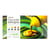 Peinture acrylique - Couleurs standard - 8 tubes de 22ml - Set d'initiation - AMT