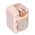 Enceinte Karaoké Divoom Fairy-2 10W Vintage - Micro - Rose