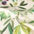 Tissu Toile de Coton Anti-tâche Provençal sur fond Ivoire