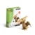Cartonic® Sculpture-Puzzle 3D carton- 149 pcs - Mini Ptérodactyl - Cartonic