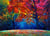 Puzzle 2000 pièces - Forêt d'Automne - Grafika