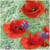 Lot de 4 serviettes en papier découpage collage 33 cm COQUELICOT ECRITURE F 700