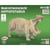 Quay - Maquette en bois Hippopotame