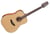 GD20-NS Takamine