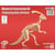 Quay - Maquette en bois Parasaurolophus
